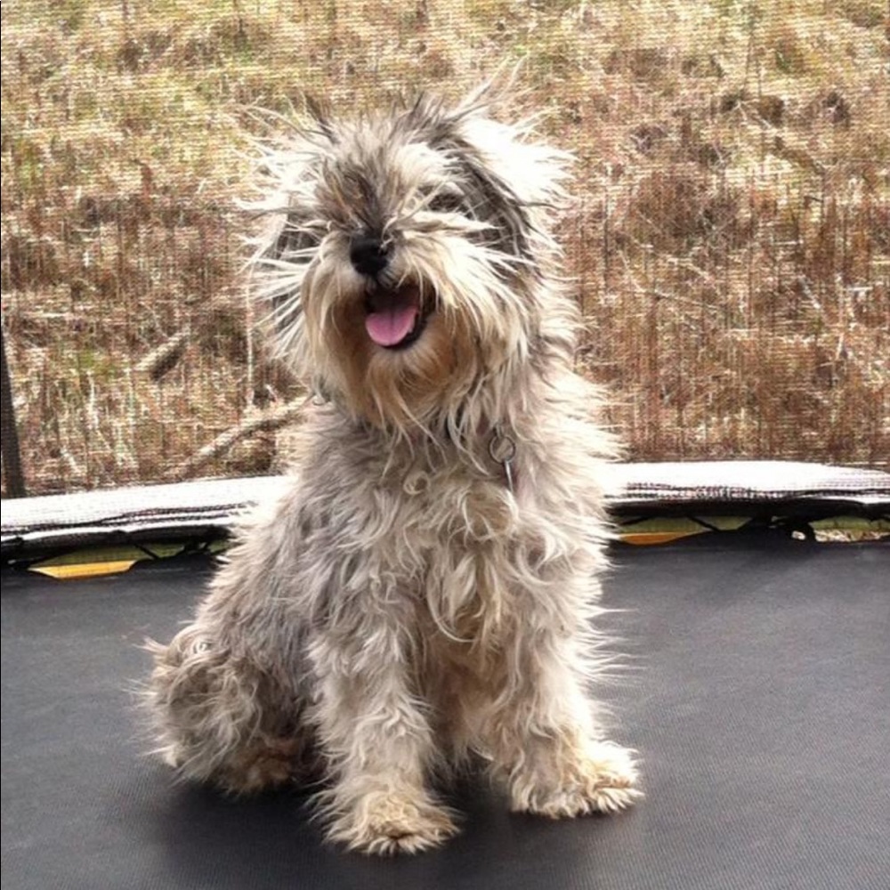 Meet your Posher, Traci